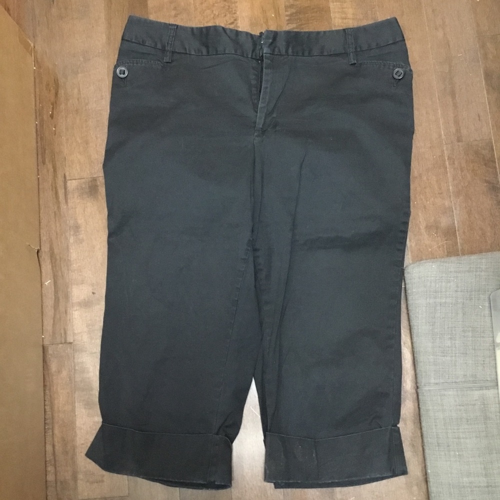 Venezia Cropped Pants Size 18